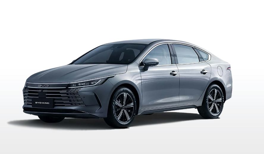 BYD King PcD